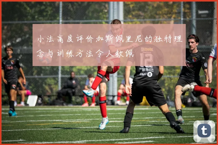 小法高度评价加斯佩里尼的独特理念与训练方法令人钦佩