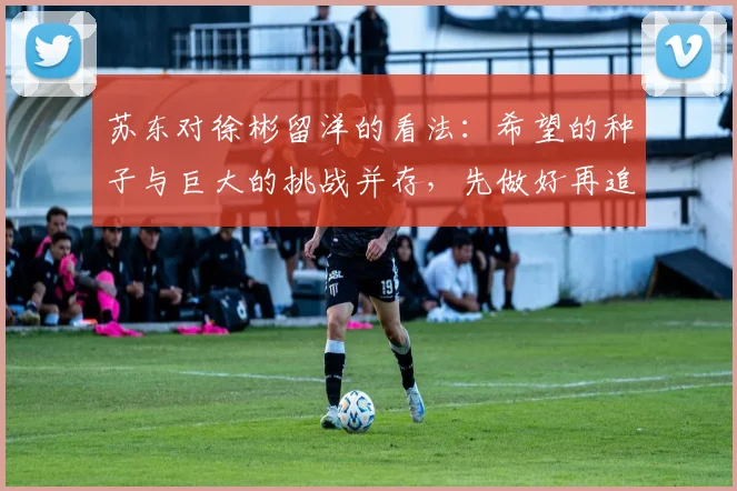 苏东对徐彬留洋的看法：希望的种子与巨大的挑战并存，先做好再追求完美