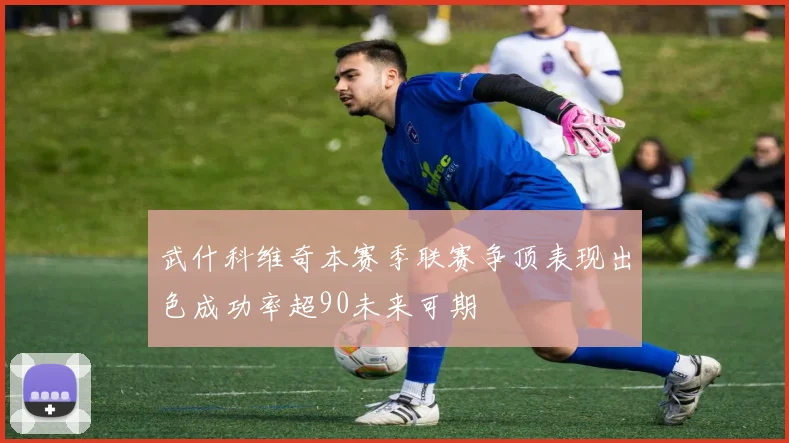 武什科维奇本赛季联赛争顶表现出色成功率超90未来可期