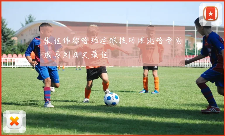 张佳伟称哈珀运球技巧堪比哈登或成马刺历史最佳