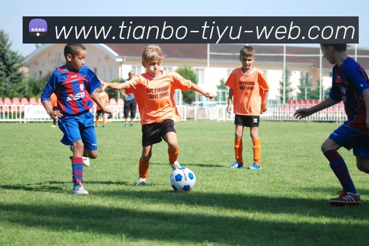 天博体育全站App